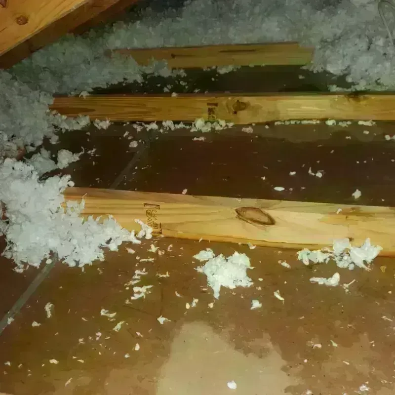 Attic Water Damage in Ross, OH