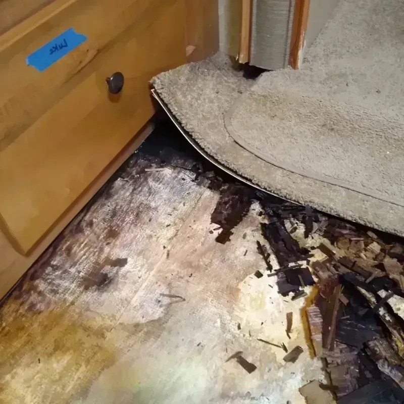 Wood Floor Water Damage in Ross, OH